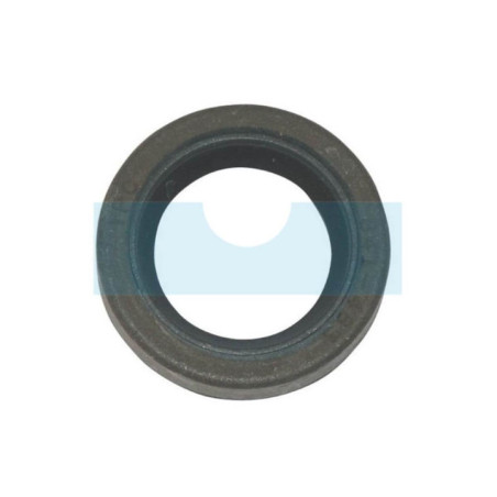 Joint spi pour Solo (0054257)
