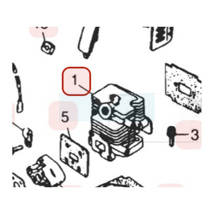 Cylindre pour moteur Zenoah (560012110)