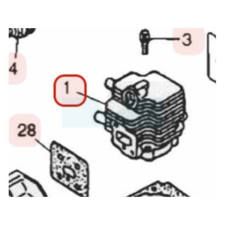 Cylindre pour moteur Zenoah (848EFS12A0)