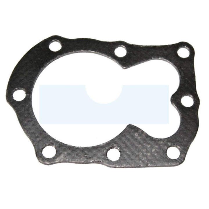 Joint de culasse pour moteur Briggs & Stratton (698717)