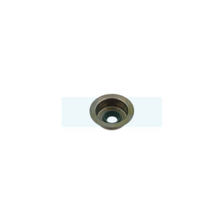 Joint de queue de soupape pour moteur Robin / Subaru (12101Z01011000)