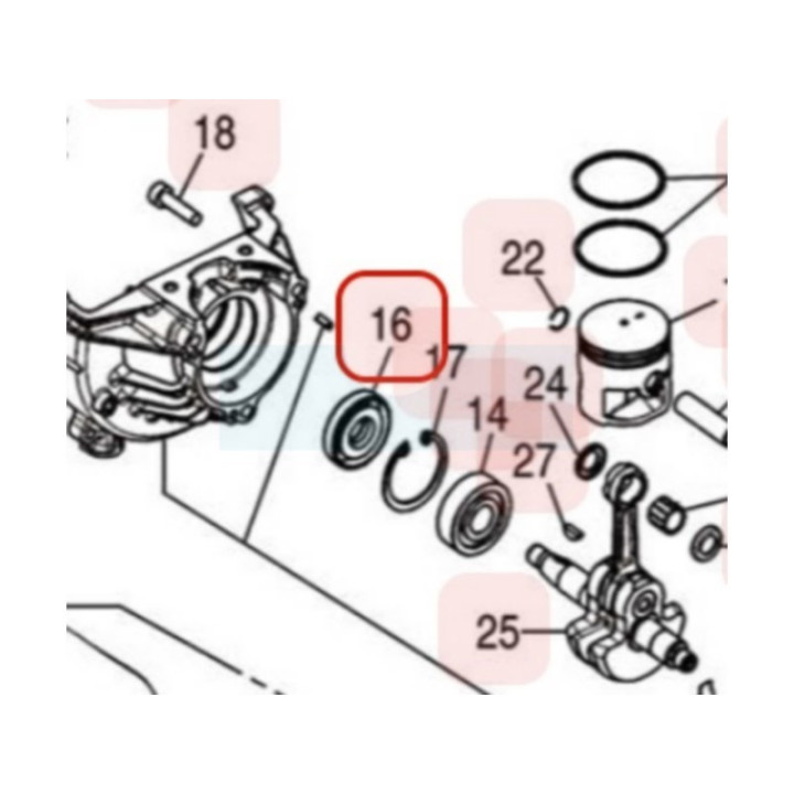 Joint spi coté allumage pour moteur Zenoah (165021220)