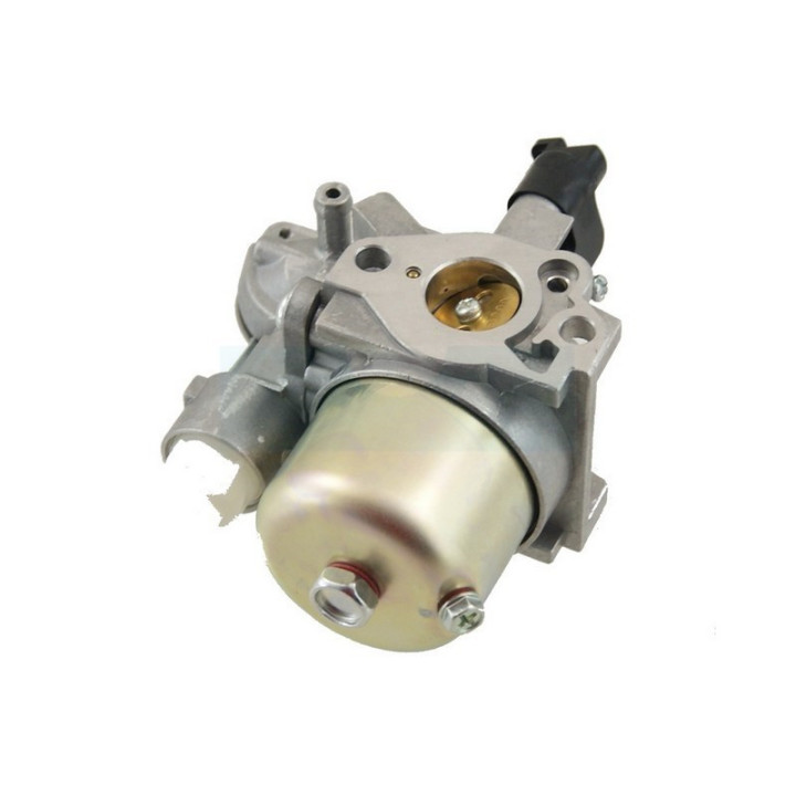 Carburateur pour moteur Robin (2766230250)