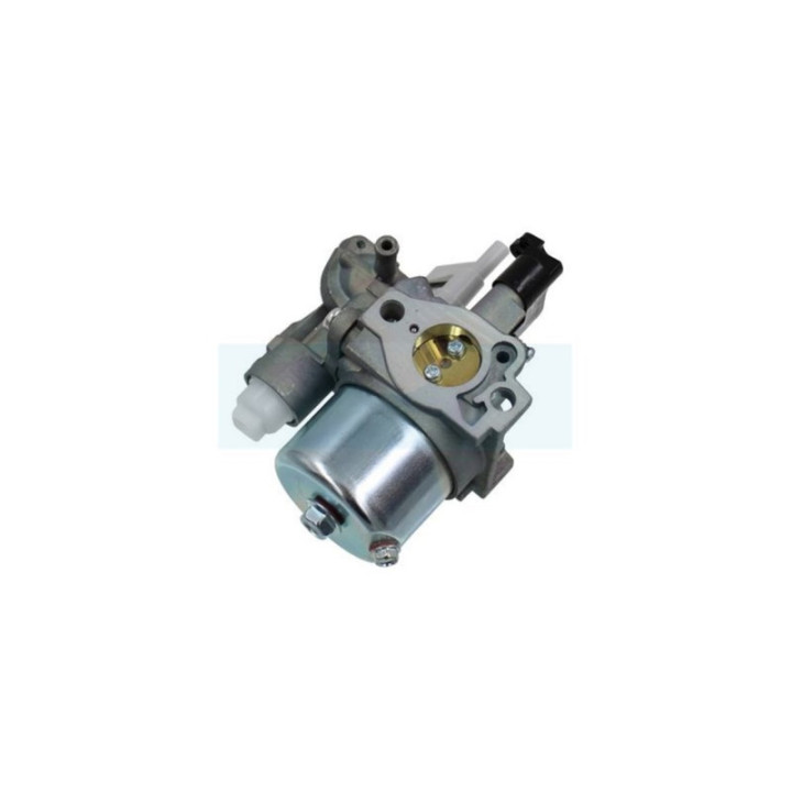 Carburateur pour moteur Robin (2776230250)