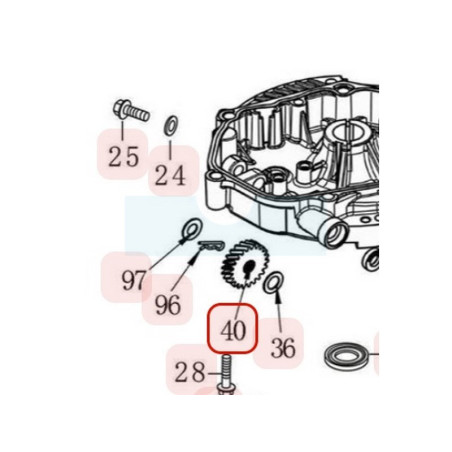 Pignon de sortie latérale pour moteur Loncin (1961500050001)