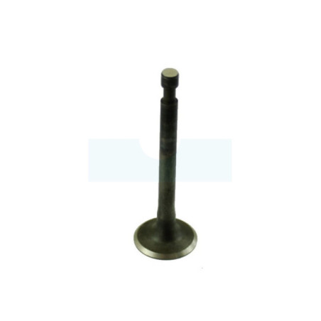 Soupape pour combi-système / perche élagueuse / récolteuse d'olive / taille-haie sur / débroussailleuse Stihl (41800252002)