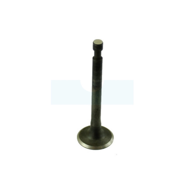 Soupape pour combi-système / perche élagueuse / récolteuse d'olive / taille-haie sur / débroussailleuse Stihl (41800252002)