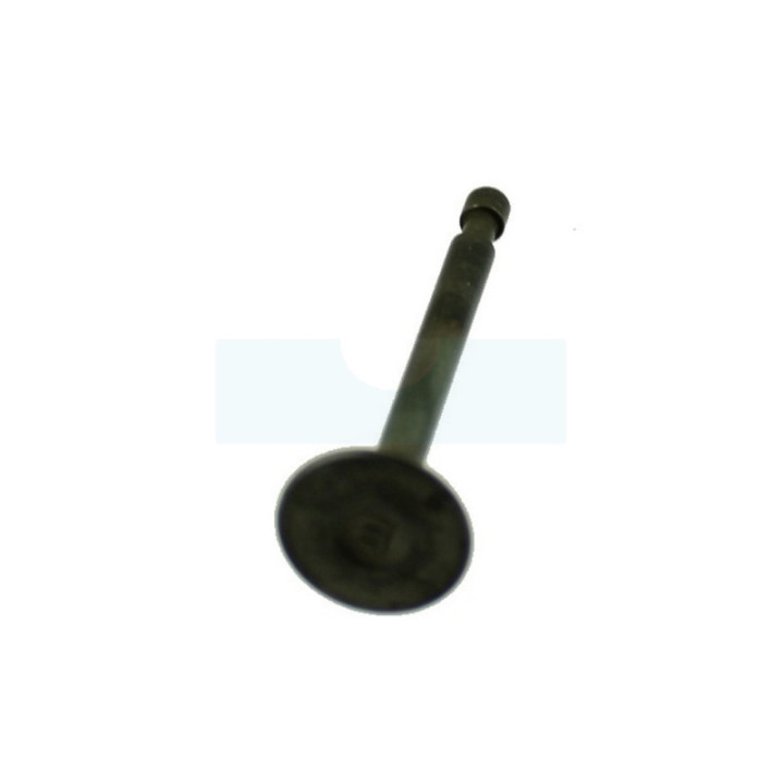 Soupape pour combi-système / perche élagueuse / récolteuse d'olive / taille-haie sur / débroussailleuse Stihl (41800252002)