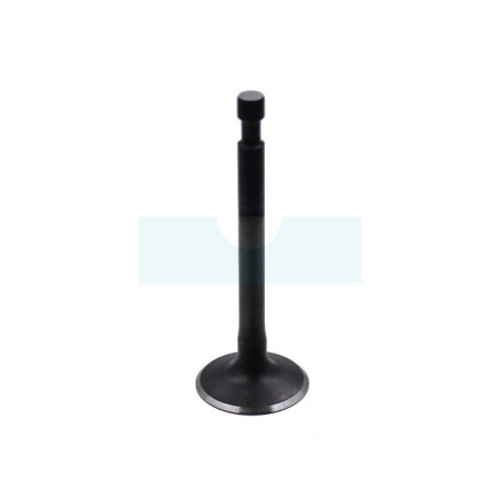 Soupape pour combi-système / perche élagueuse / tarière / débroussailleuse Stihl (41800252003)