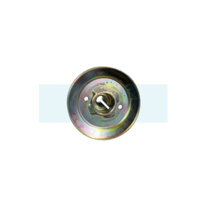 Poulie de boîte de vitesse pour débroussailleuse autoportée Roques & Lecoeur (S532933252873)
