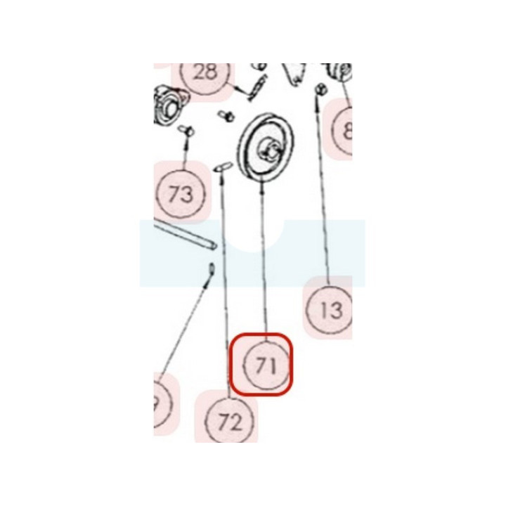 Poulie de rotor pour scarificateur Roques & Lecoeur (0002020005)