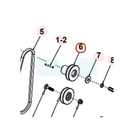 Poulie moteur pour scarificateur Roques & Lecoeur (TTS0D1900000)