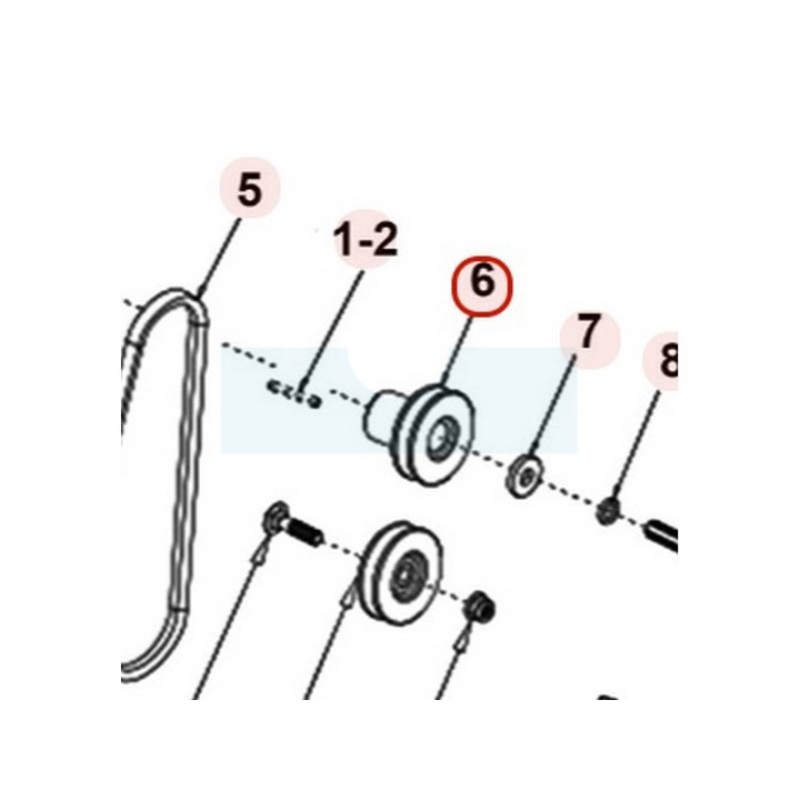 Poulie moteur pour scarificateur Roques & Lecoeur (TTS0D1900000)