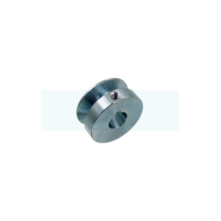 Poulie pour motobineuse Roques & Lecoeur (0306060005)