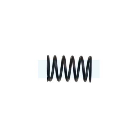Ressort de soupape pour moteur Kawasaki (490782089)
