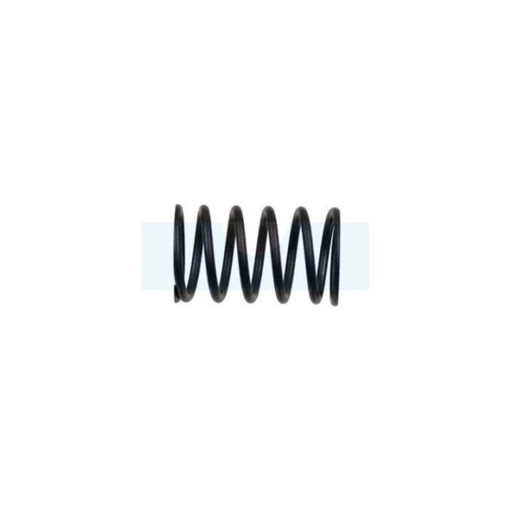Ressort de soupape pour moteur Kawasaki (490782089)