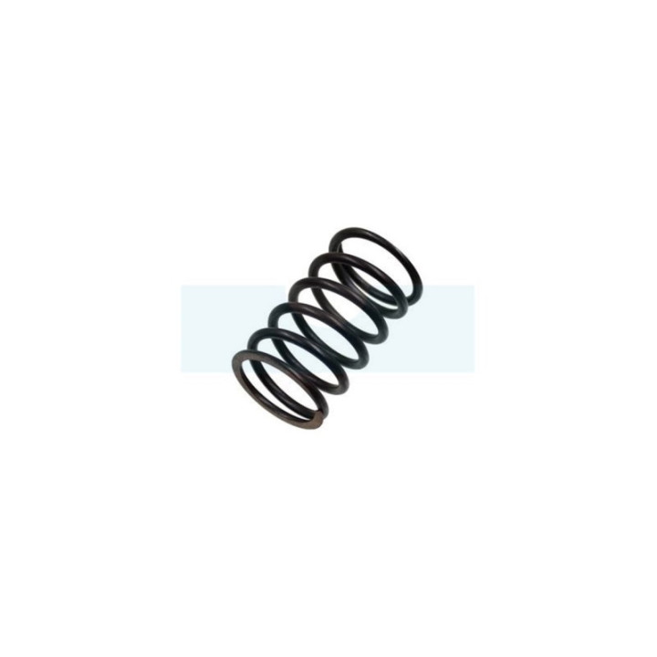 Ressort de soupape pour moteur Kawasaki (490782089)