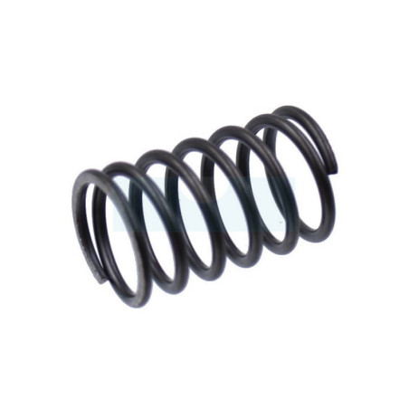 Ressort de soupape pour moteur Kawasaki (490787001)