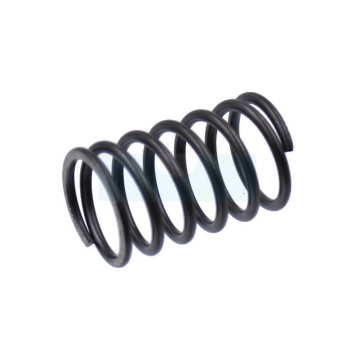 Ressort de soupape pour moteur Kawasaki (490787001)