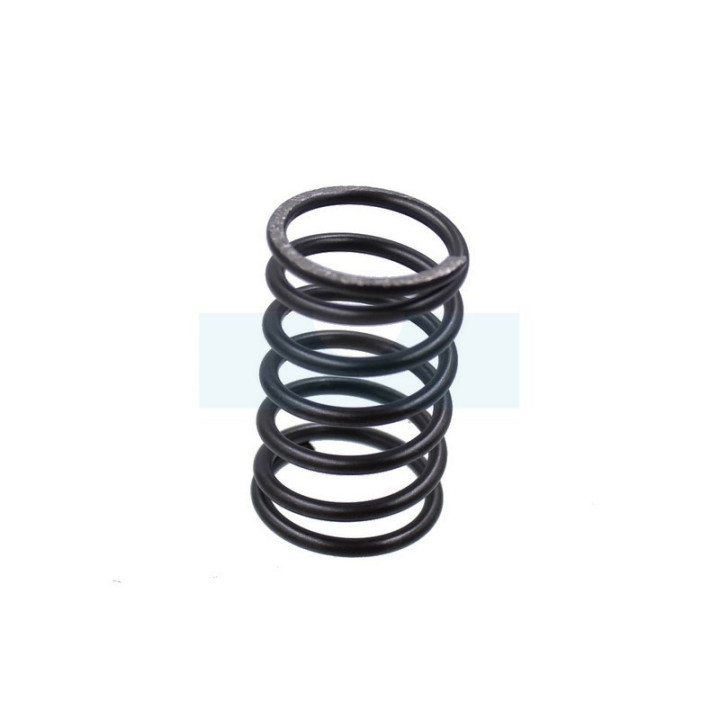 Ressort de soupape pour moteur Kawasaki (490787001)