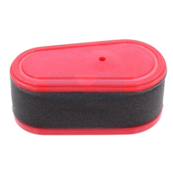 Filtre à air pour moteur Loncin (1185511570)