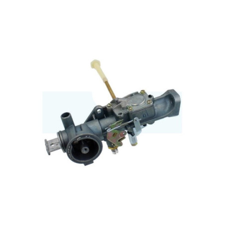 Carburateur pour moteur Briggs & Stratton (299437)