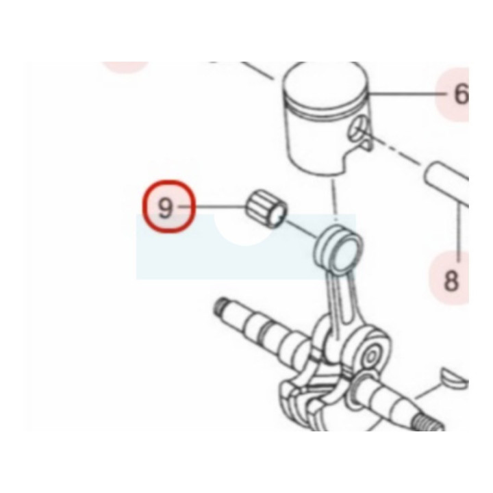 Roulement d'axe de piston pour tronçonneuse Maruyama (285882)