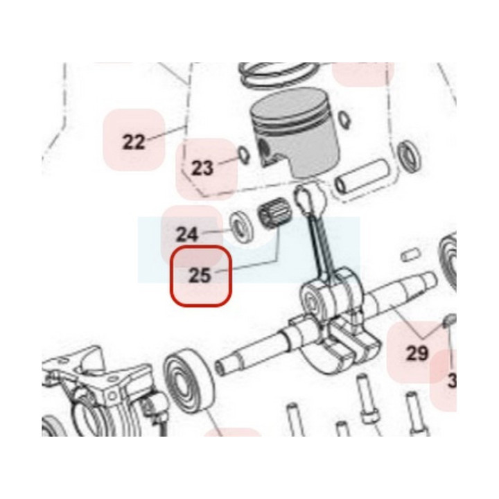 Roulement d'axe de piston pour tronçonneuse Maruyama (M021326)