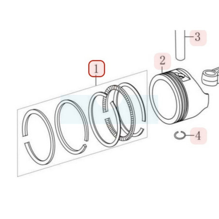 Segment pour moteur Loncin (1300701420001)