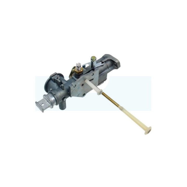 Carburateur pour moteur Briggs & Stratton (299437)