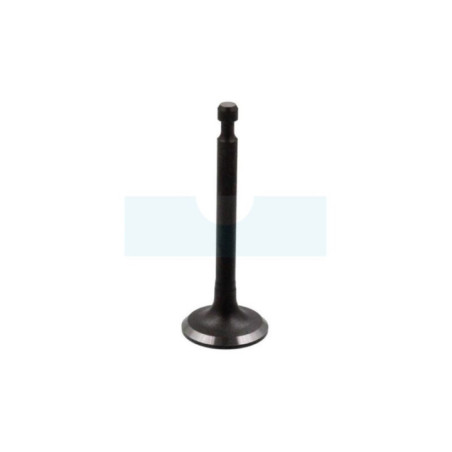 Soupape d'admission pour moteur Robin / Subaru (12111Z02011000)