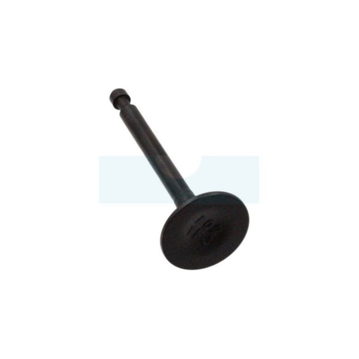 Soupape d'admission pour moteur Robin / Subaru (12111Z02011000)