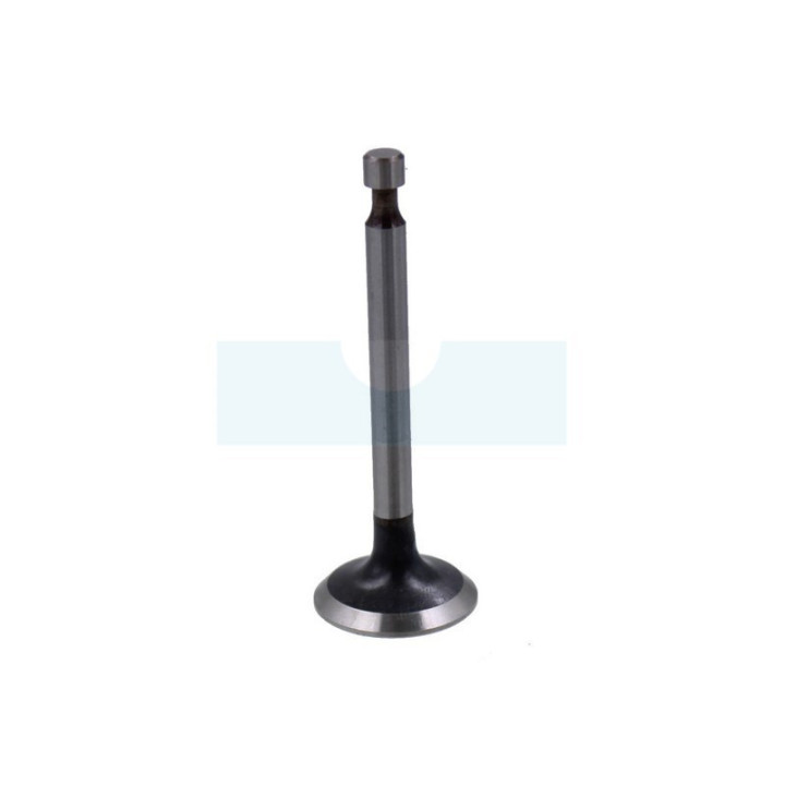 Soupape d'échappement pour moteur Kawasaki (120052089)