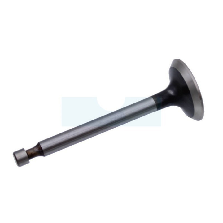 Soupape d'échappement pour moteur Kawasaki (120052089)
