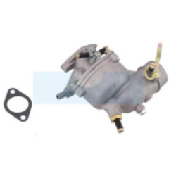 Carburateur pour moteur Briggs & Stratton (390323)