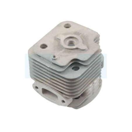 Cylindre pour souffleur Echo (A130001050)