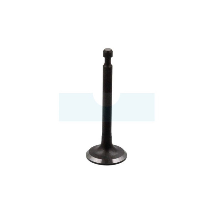 Soupape d'échappement pour moteur Robin / Subaru (12121Z02011000)