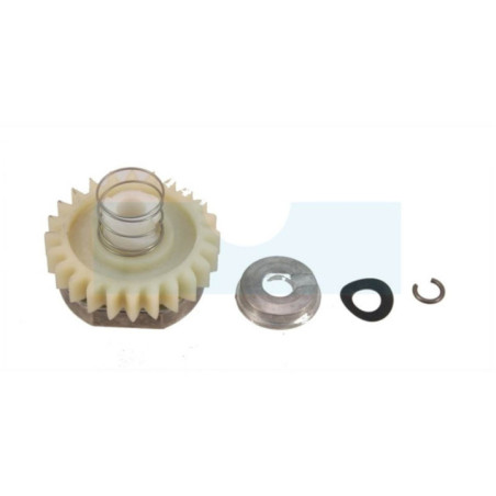 Kit nez de démarreur électrique pour moteur Briggs & Stratton (490768)