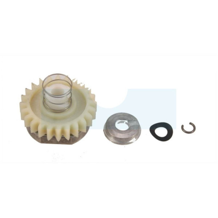 Kit nez de démarreur électrique pour moteur Briggs & Stratton (490768)