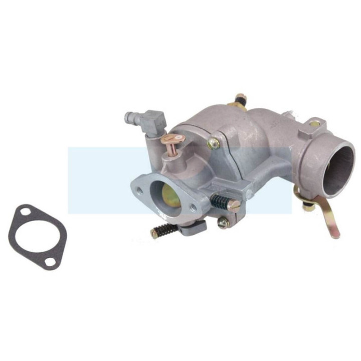 Carburateur pour moteur Briggs & Stratton (390323)