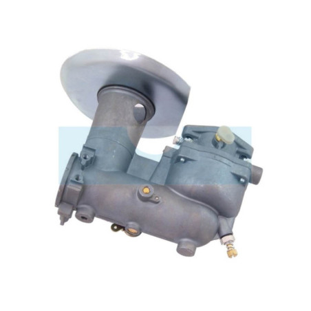 Carburateur pour moteur Briggs & Stratton (392587)