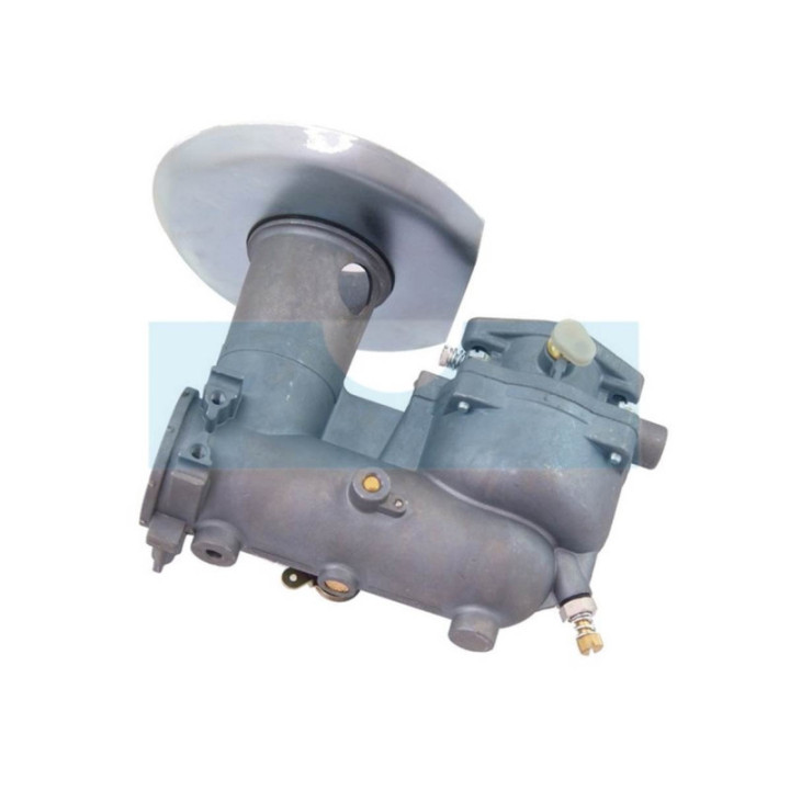 Carburateur pour moteur Briggs & Stratton (392587)
