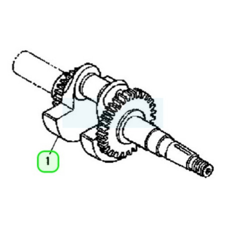 Vilebrequin pour moteur Honda (13310YB4010)