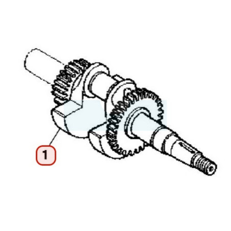 Vilebrequin pour moteur Honda (13310ZE0631)