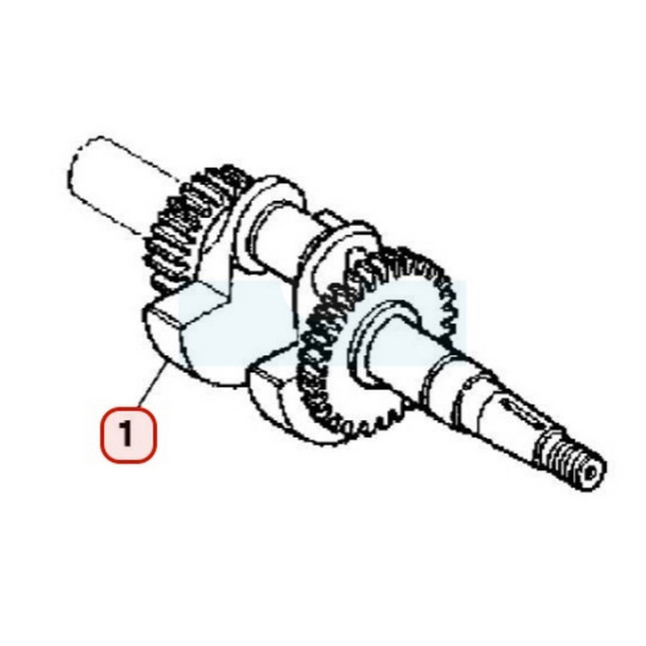 Vilebrequin pour moteur Honda (13310ZE0631)