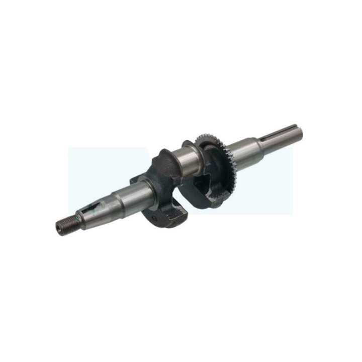 Vilebrequin pour moteur Honda (13310ZL9600)