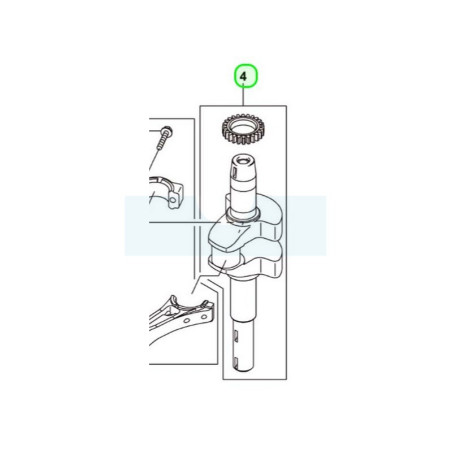 Vilebrequin pour moteur Kawasaki (130317065)