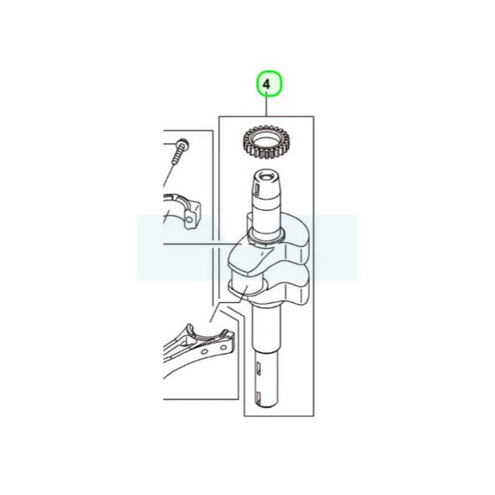 Vilebrequin pour moteur Kawasaki (130317065)