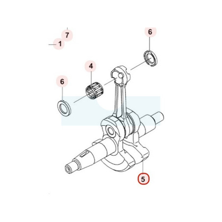 Vilebrequin pour moteur Kawasaki (491192248)