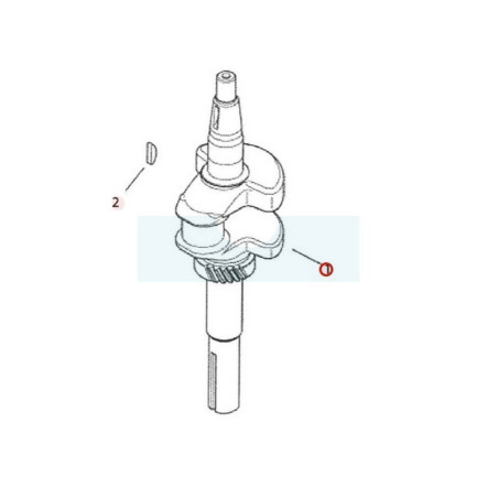Vilebrequin pour moteur Kohler (1401481S)
